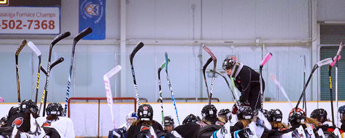 Women's Hockey in Canada